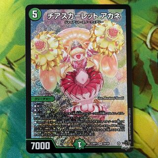 Cheer Scarlet Whitney SR S8/S8