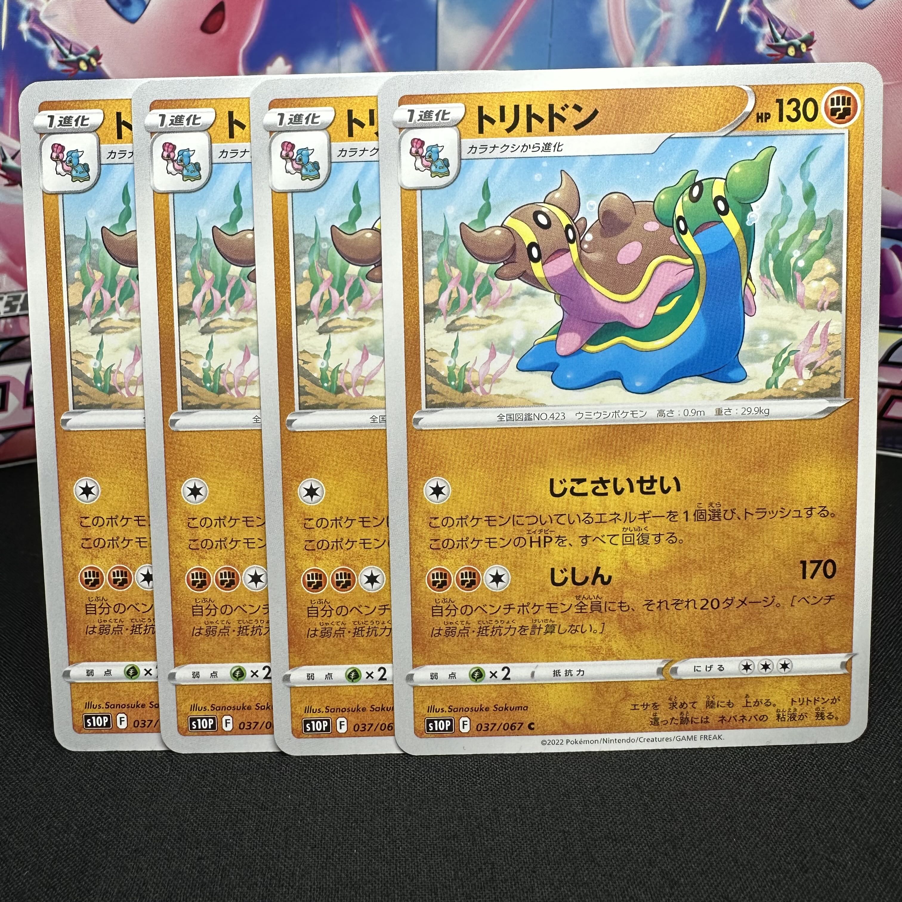 トリトドン C 037/067