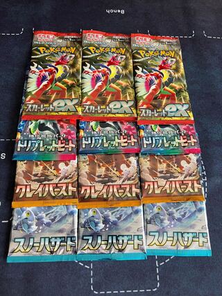 しんしん様　専用　プレゼント企画