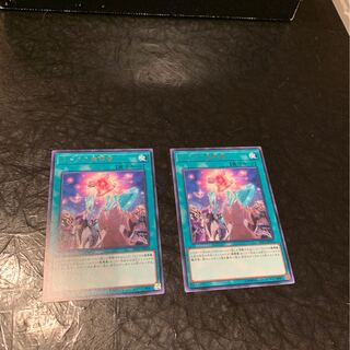 ルドラの魔導書