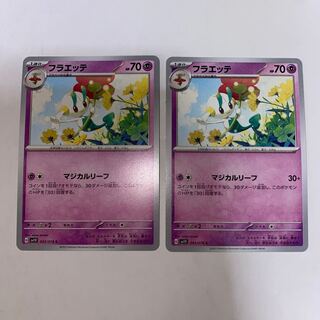 フラエッテ C 043/078