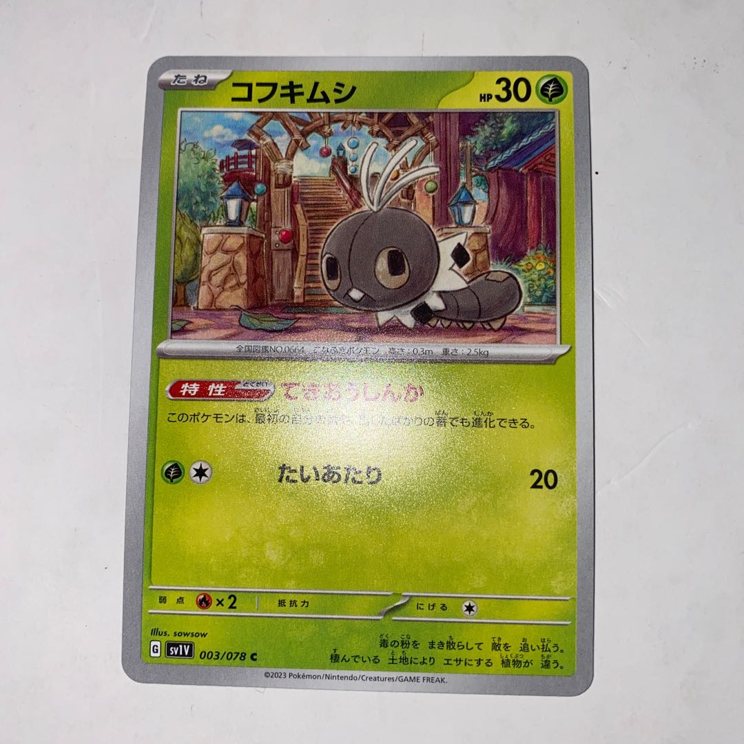 コフキムシ C 003/078