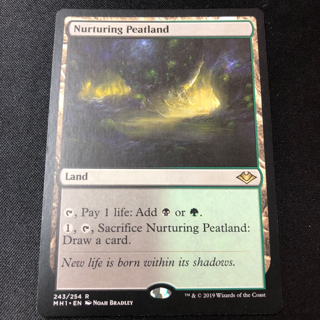 Nurturing Peatland Rare 243/254