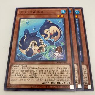 クリック&エコー ノーマル JP030