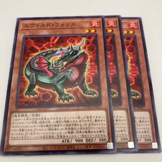 エヴォルド・フォリス ノーマル JP017