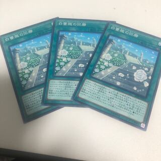 White Rose Cloister Normal JP011