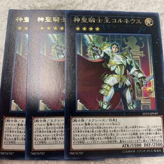 神聖騎士王コルネウス　専用