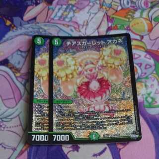 Cheer Scarlet Whitney SR S8/S8