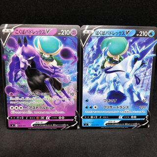 Normal special price] Hakuba & Kokuba Budrex V TD 203/414