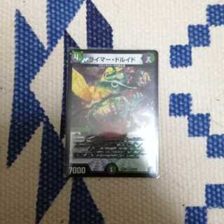 ライマードルイド