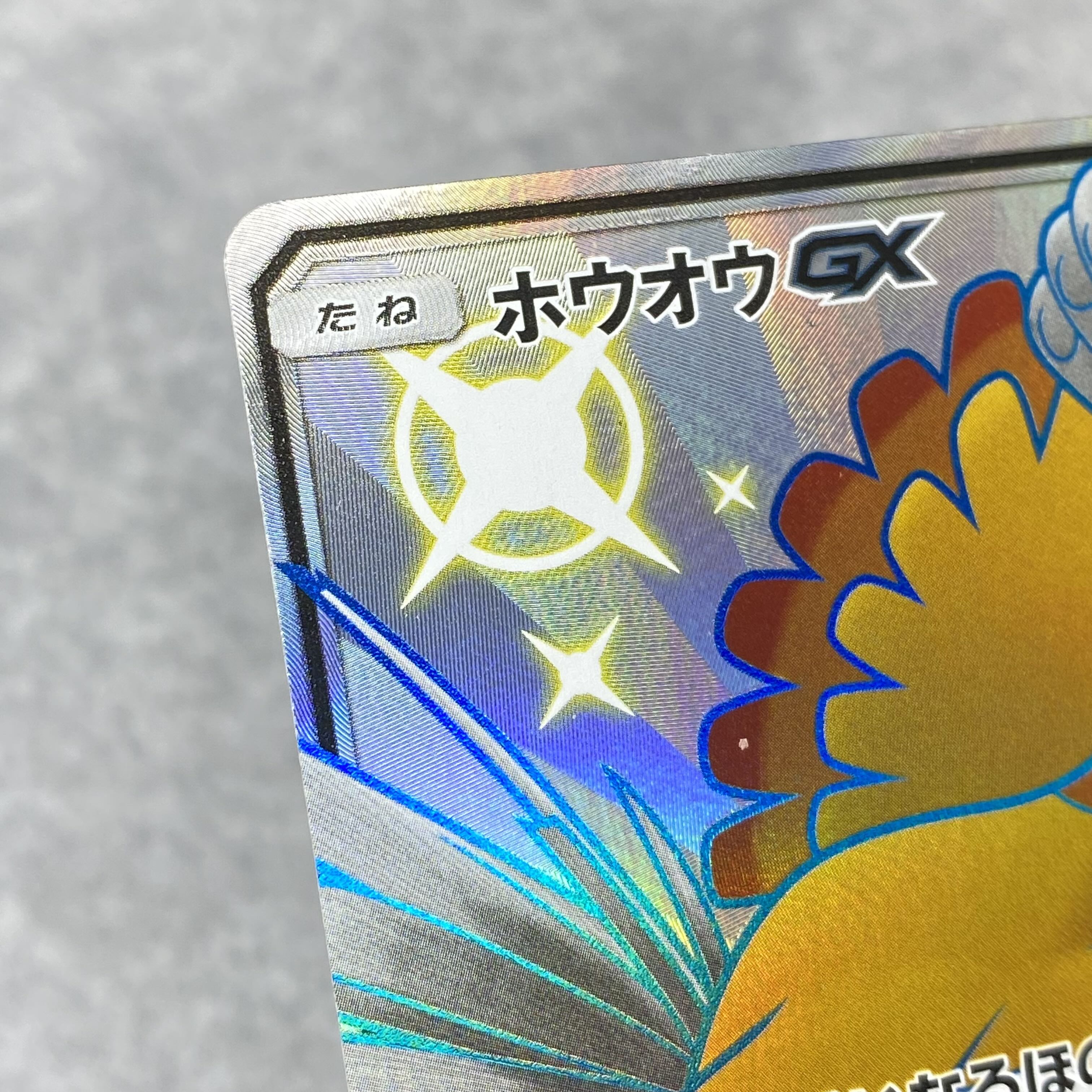 ホウオウGX SSR 210/150