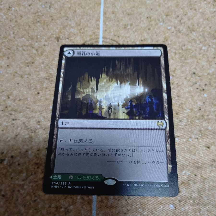 Darkbore Pathway Rare 254/285