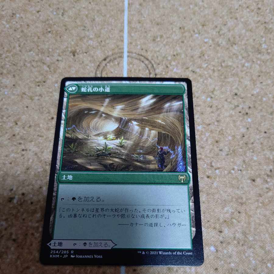 Darkbore Pathway Rare 254/285