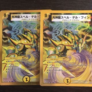 スペルデルフィン