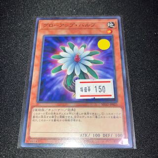 グローアップ・バルブ ノーマル JP021 1枚 特価品