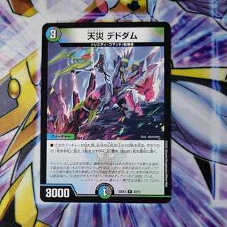 天災 デドダム R 33/75