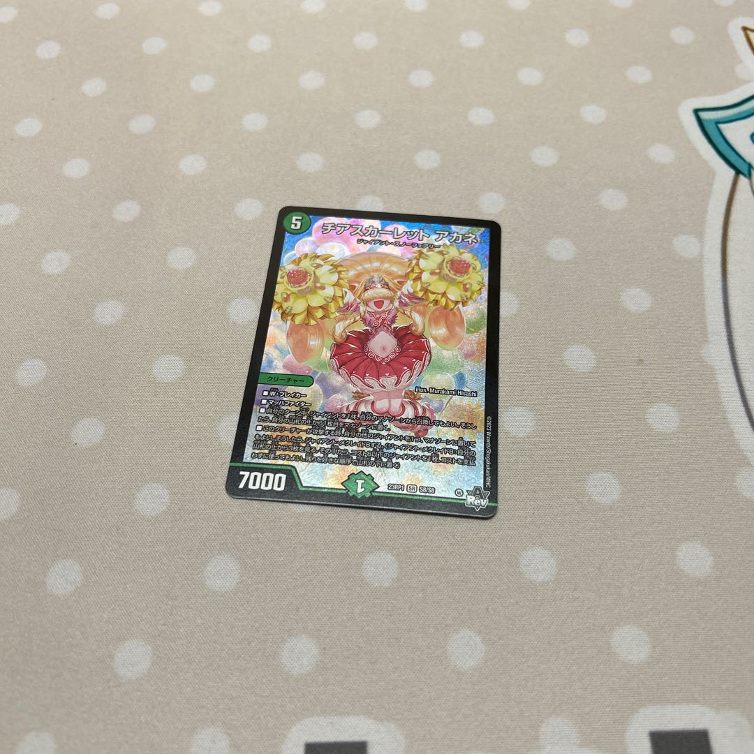 Cheer Scarlet Whitney SR S8/S8