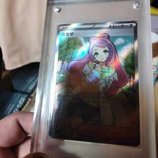 ミモザＳＲ　　ＢＧＳ鑑定出します(多分)