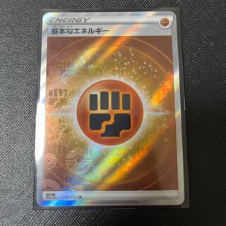 基本闘エネルギー SR 256/172