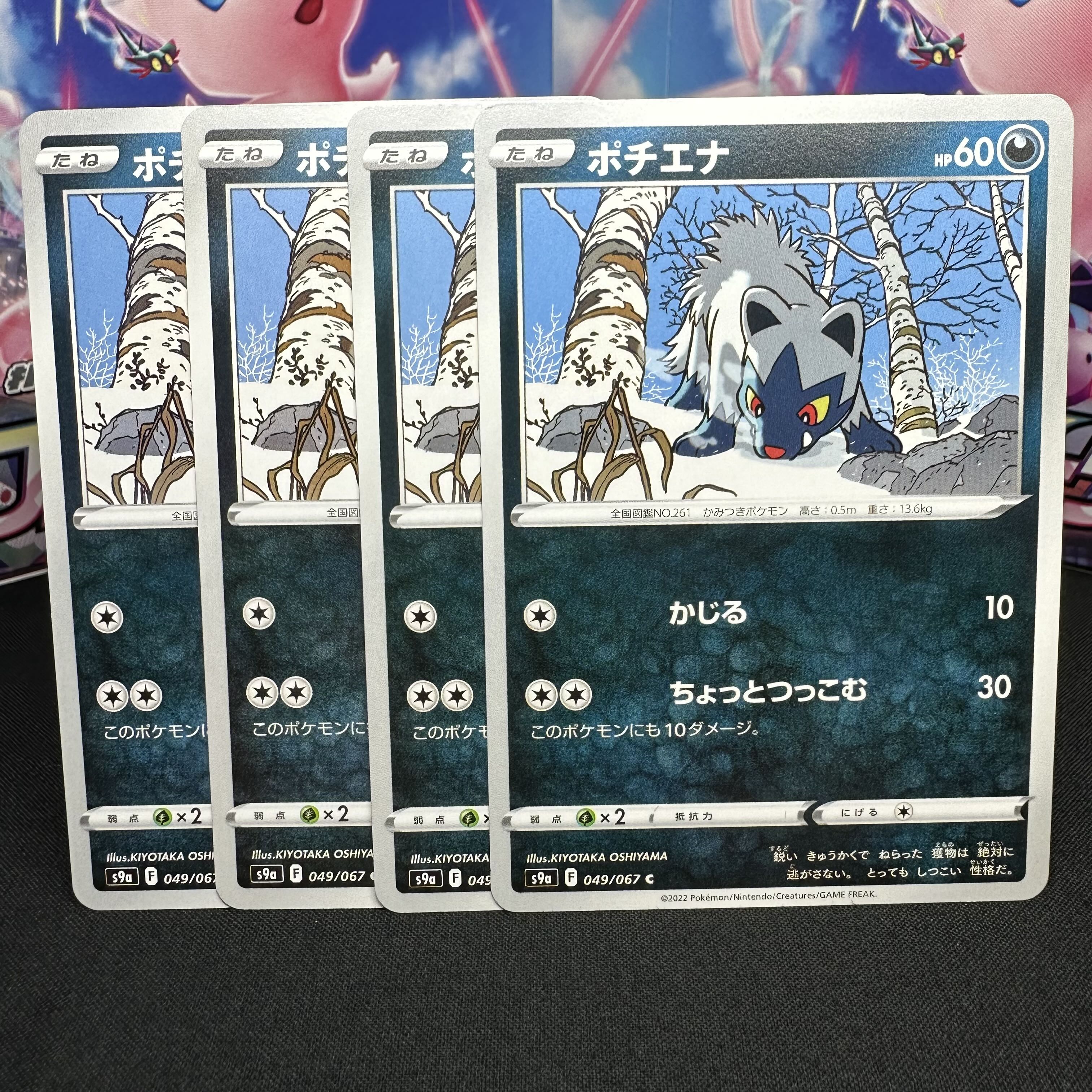 ポチエナ C 049/067