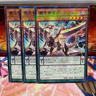 No.2091 P屋　覇王眷竜ダークヴルム 【パラ】