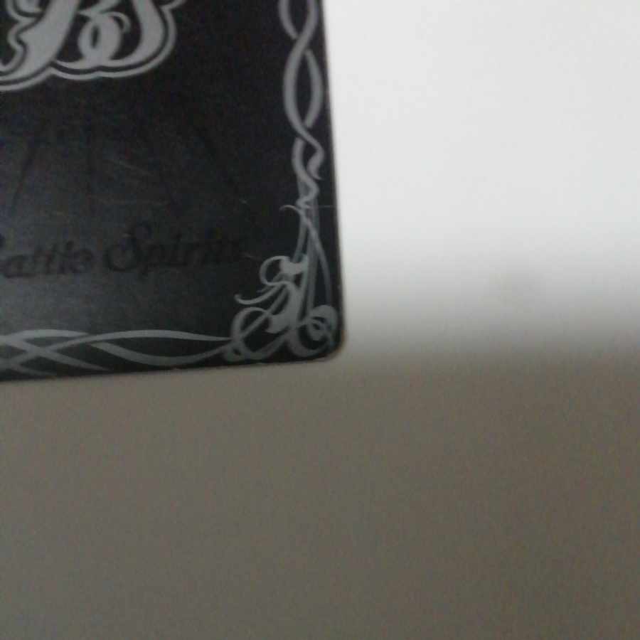 Magic twin god Geminize 1枚