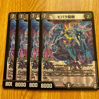 ビバラ龍樹　４枚