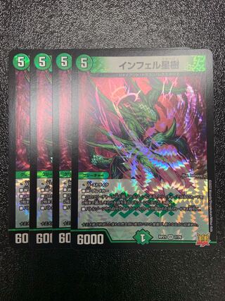 Infelix star tree (species of sedge, Infelix infelix)