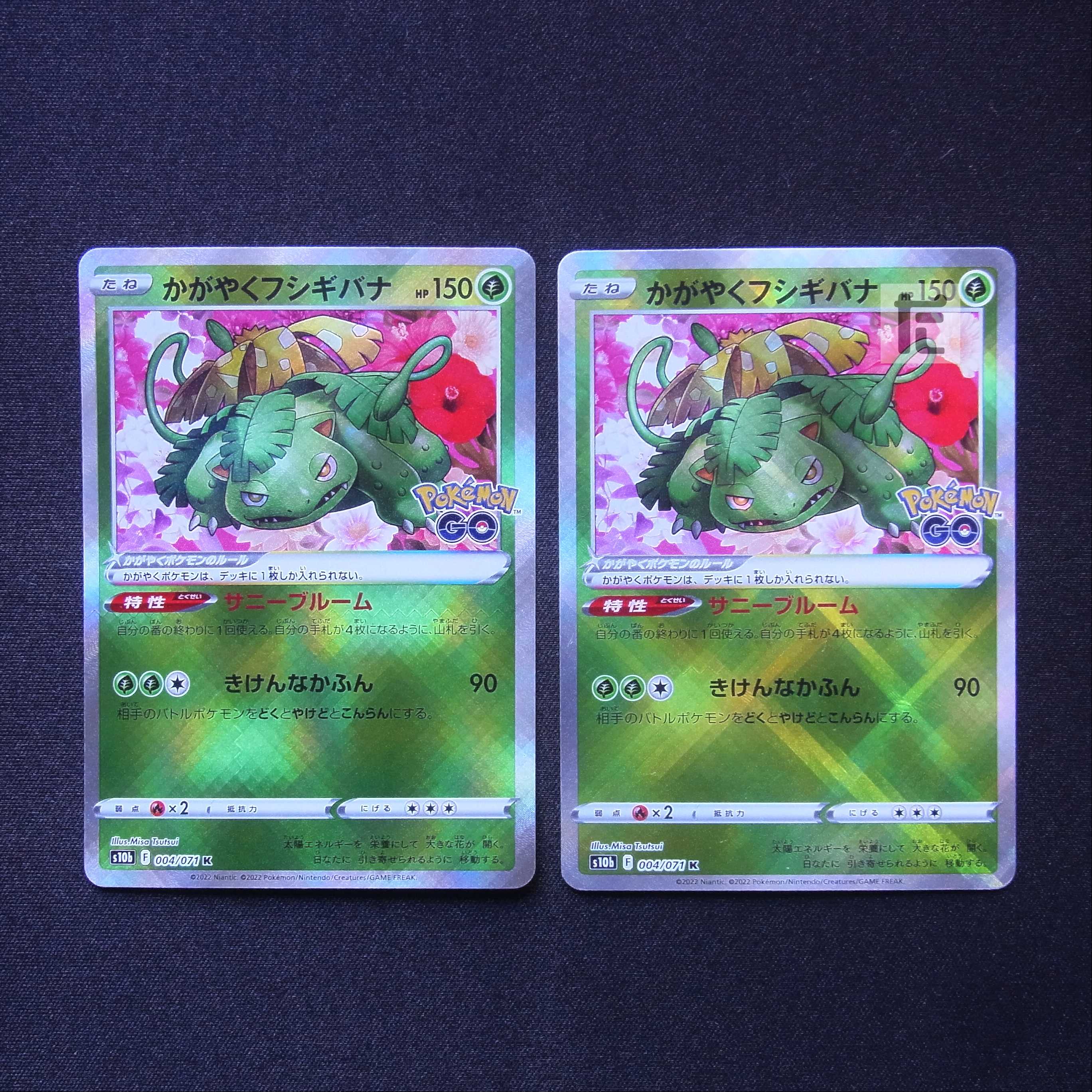 Kagayaku Venusaur 2-piece set / Management:MP5833