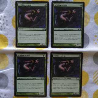 Gladecover Scout Basic Set 2014 4 pieces