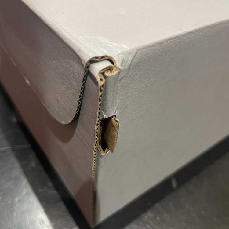 Nike Women's Air Riryoku 1 '07 Essentials Paisley "Black/HoWight" DH4406-101 26cm