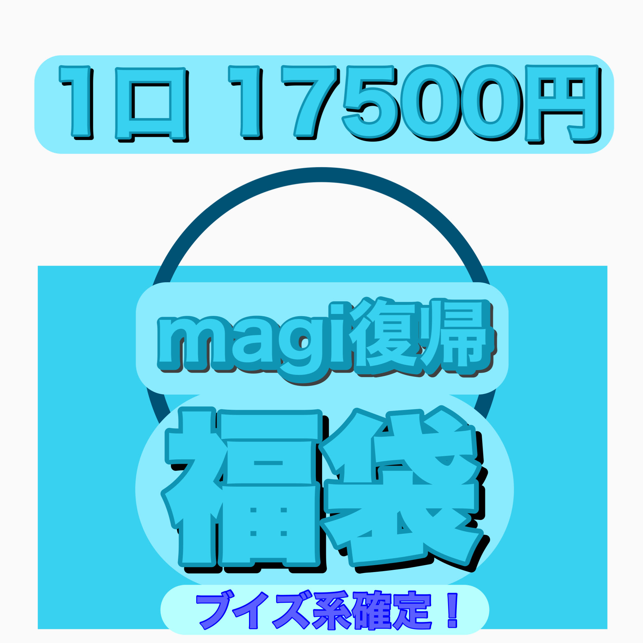 Pokémon Card Fukubukuro (buisness confirmed)