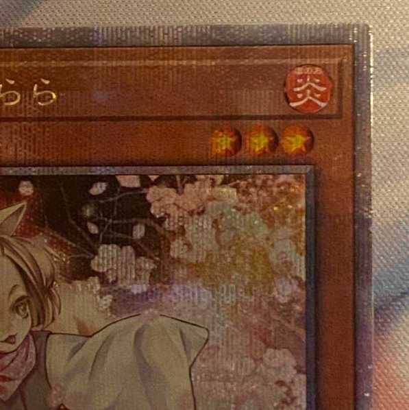灰流うらら 25th クォーターセンチュリーレア レアコレ 遊戯王の通販 灰流うらら 25th クォーターセンチュリーレア レアコレ 遊戯王の通販