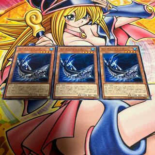 Lantern Shark Normal JP018