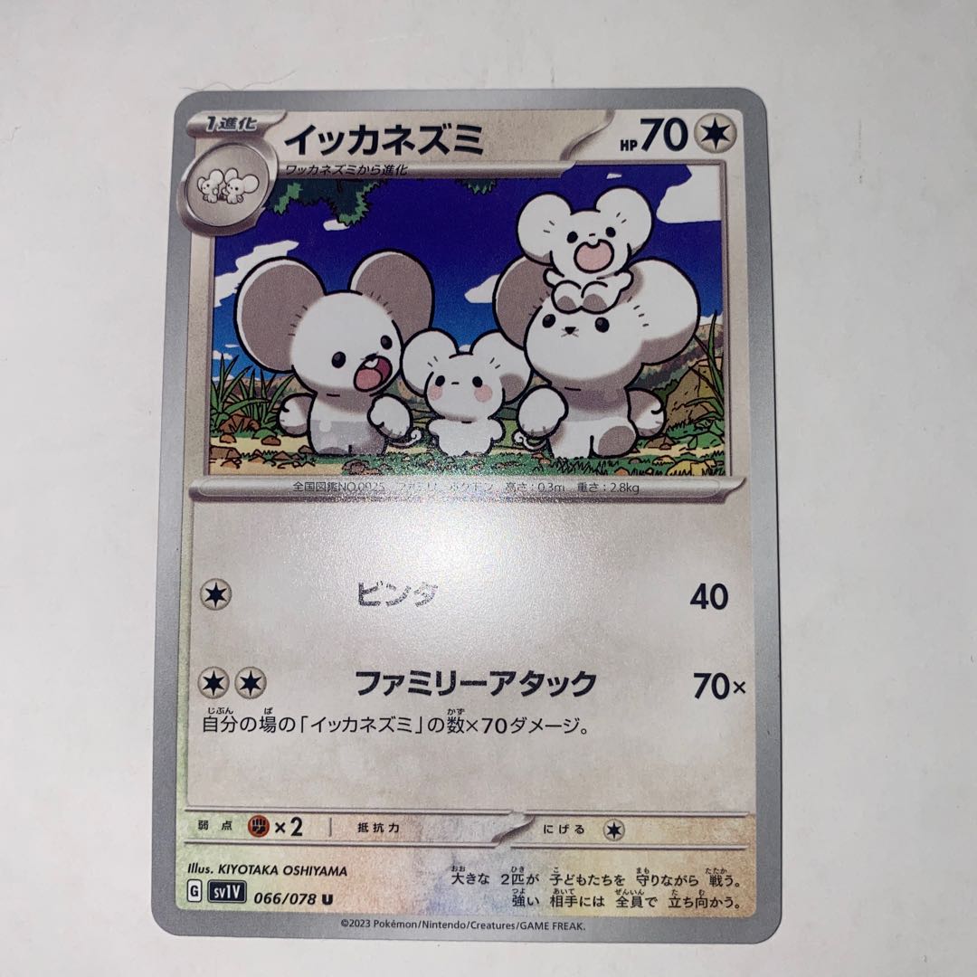 イッカネズミ U 066/078