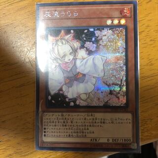 灰流うらら シークレット