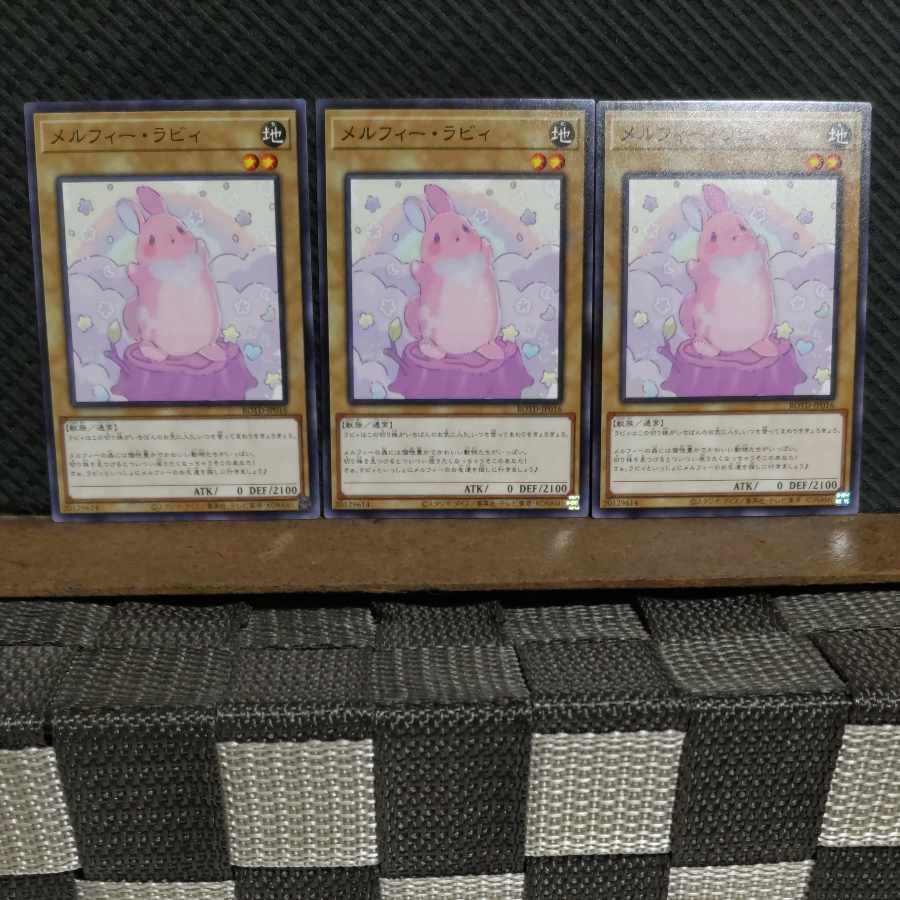 【ぽぽたん】遊戯王 #2215 メルフィー・ラビィ ノーマル 3枚