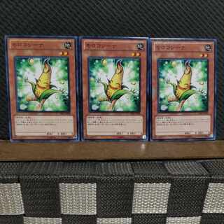 【ぽぽたん】遊戯王  #2223  モロコシーナ 3枚 ノーマル