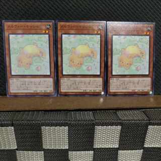 【ぽぽたん】遊戯王  #2224  メルフィー・キャシィ  ノーマル  3枚