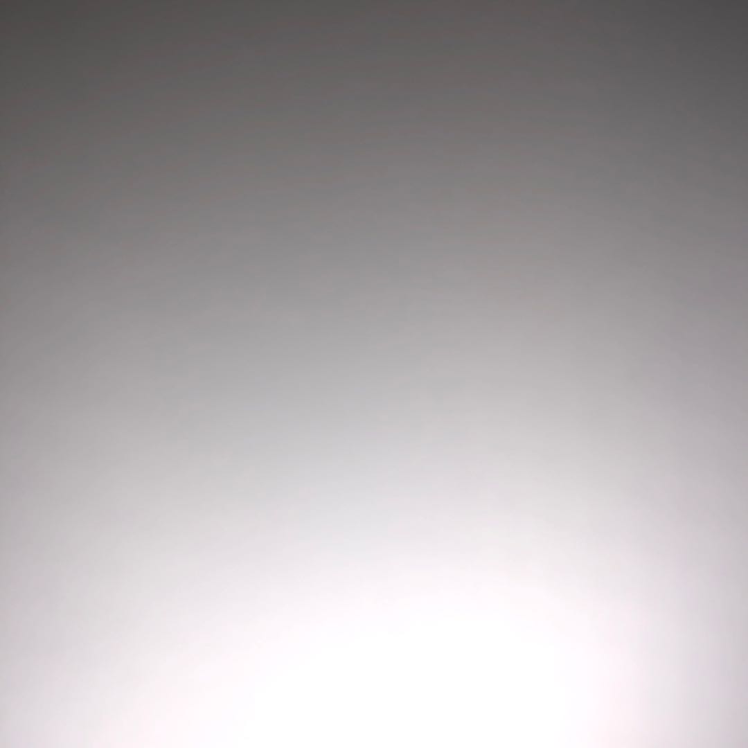 レッコパブロウ募集［2枚］