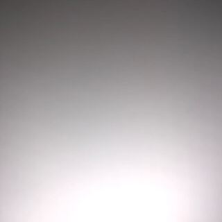 レッコパブロウ募集［2枚］