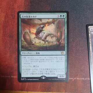 古の放漫トカゲ