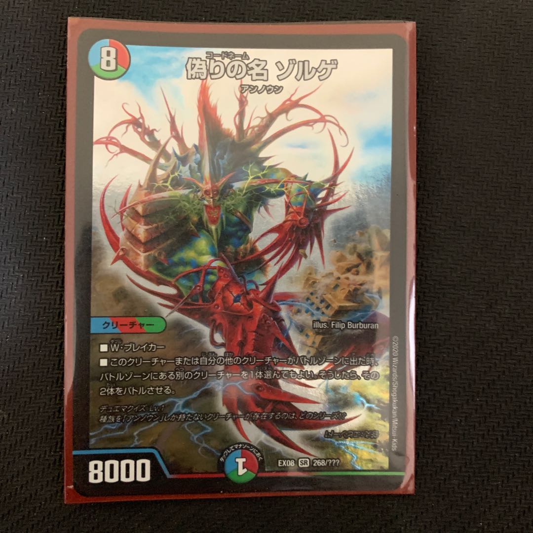 偽りの名ゾルゲ 専用