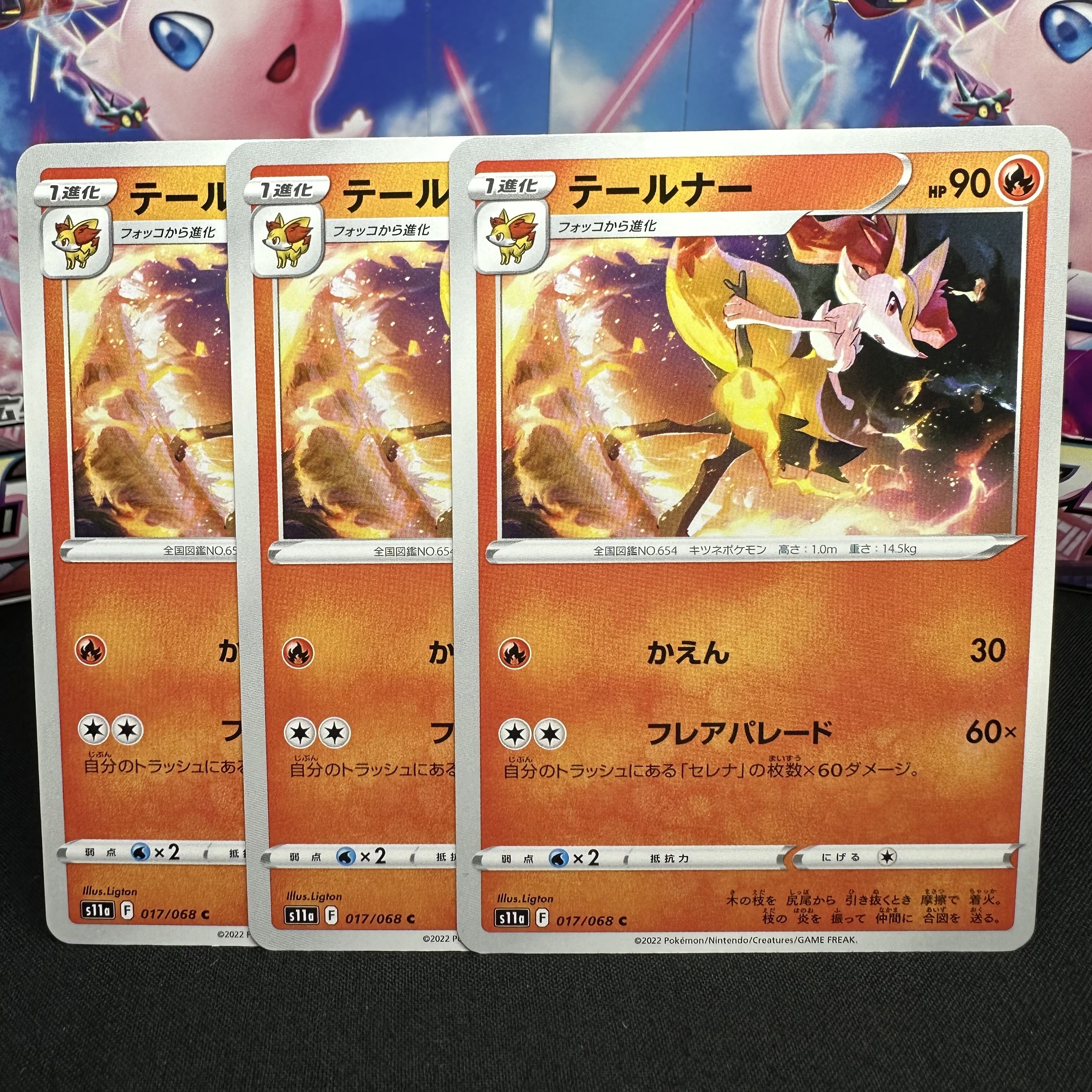 テールナー C 017/068