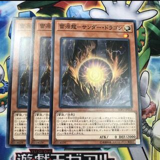 雷源龍サンダードラゴン 3枚