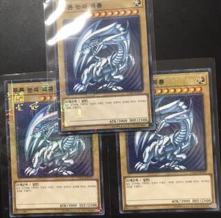 遊戯王　青眼の白龍　ミレニアムレア　韓国