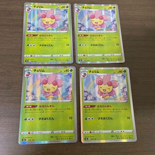 チェリム(R仕様) 006/184