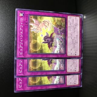 Purity Sharely! Normal JP075