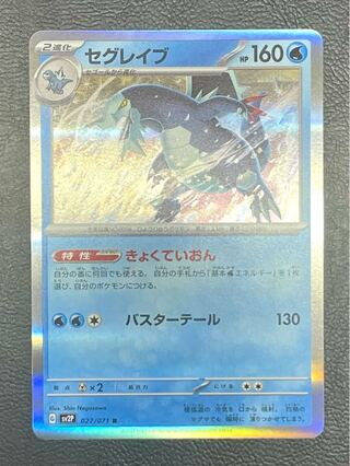 セグレイブ R 027/071