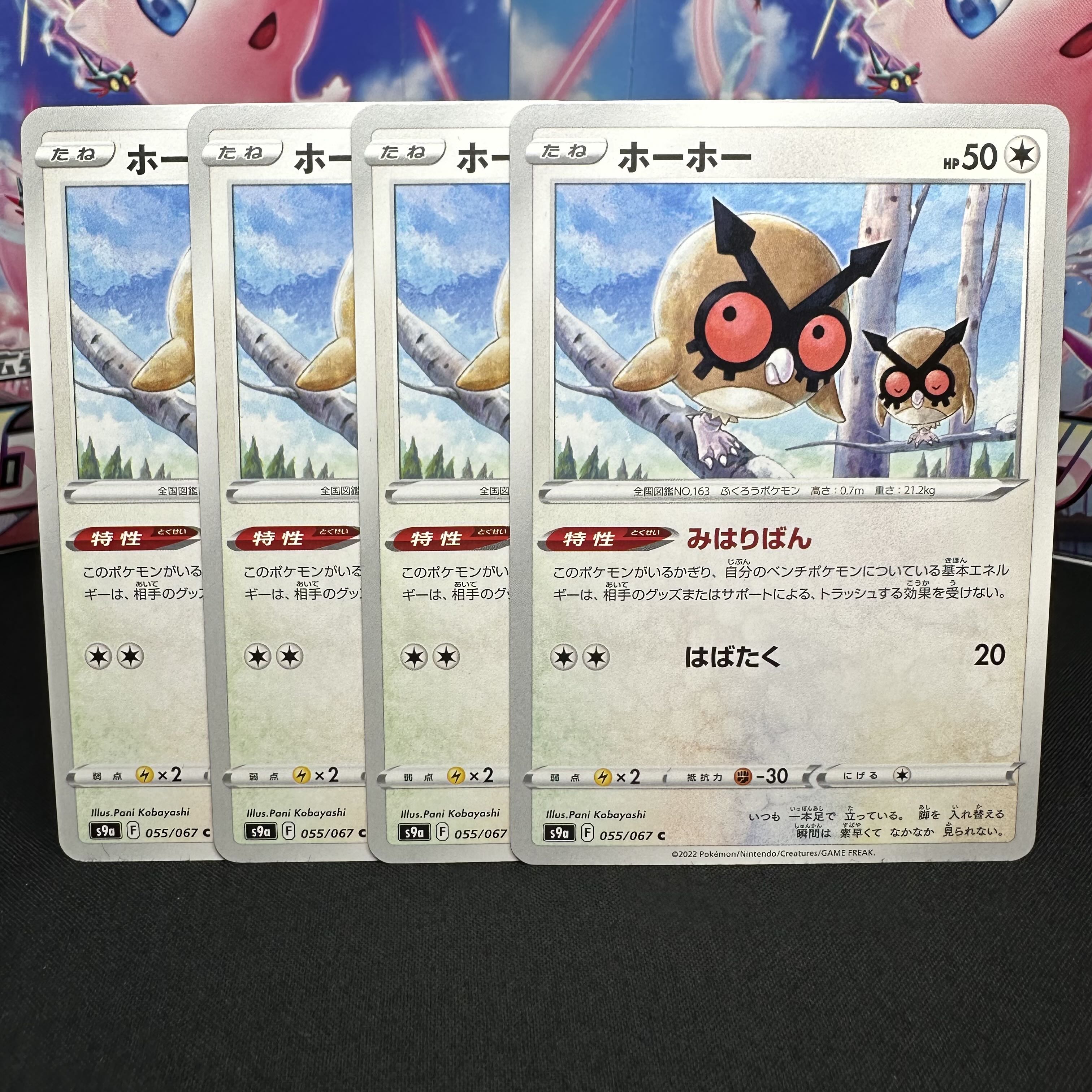 ホーホー C 055/067